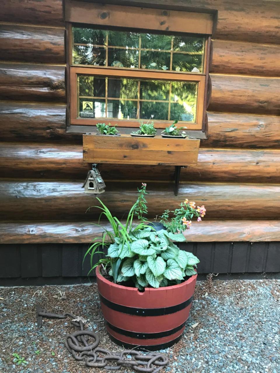 Union Bay Log Home Bagian luar foto