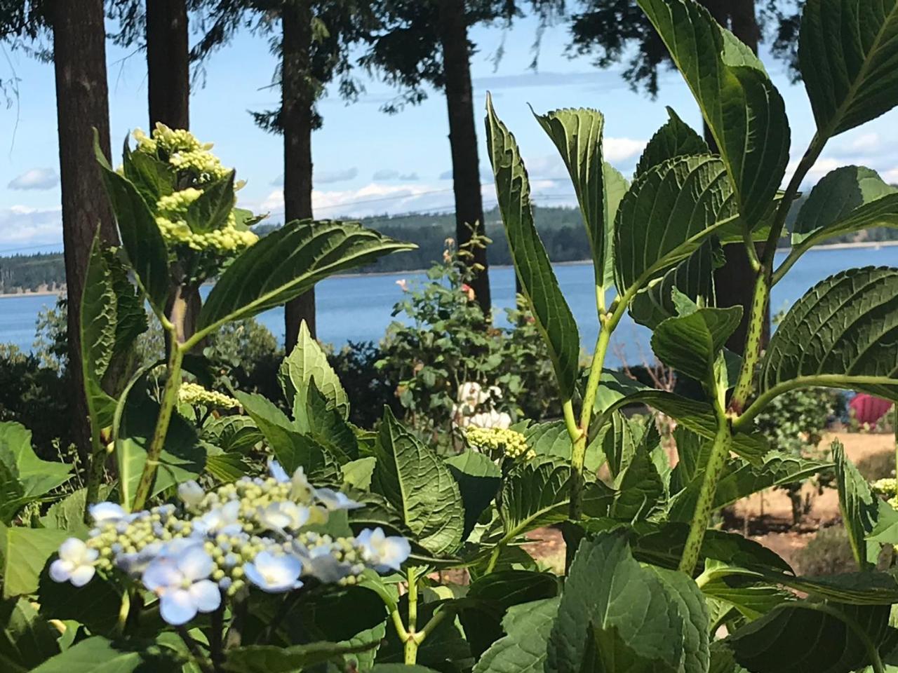 Union Bay Log Home Bagian luar foto